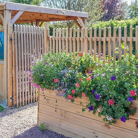 Pet Friendly In Blessy