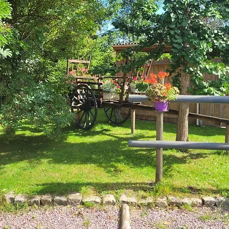 Pet Friendly In Dom wakacyjny