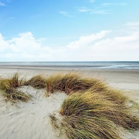 Pet Friendly In Dom wakacyjny Blessy