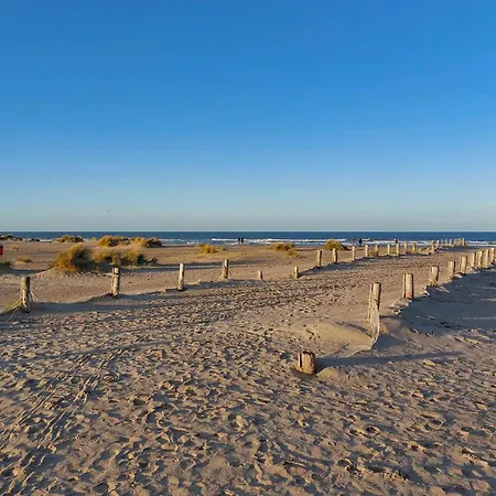 Pet Friendly In * Blessy